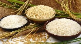 Thủ tục nhập khẩu gạo và xuất khẩu gạo